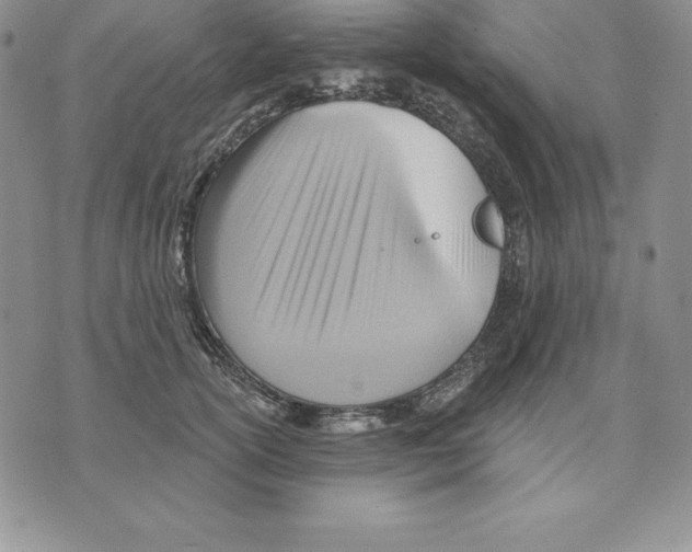 X0000075830754200610151519