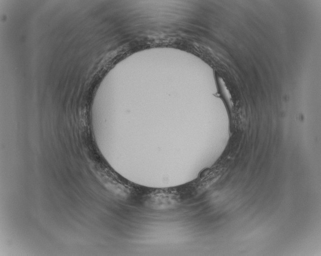 X0000075830756200610151519