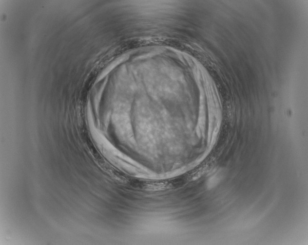 X0000075830757200610151520