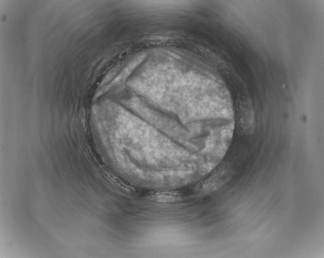 X0000075830758200610151520