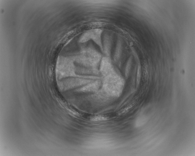 X0000075830759200610151520