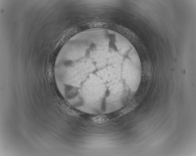 X0000075830761200610151520