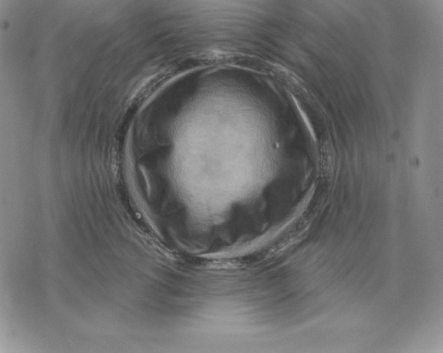 X0000075830762200610151520