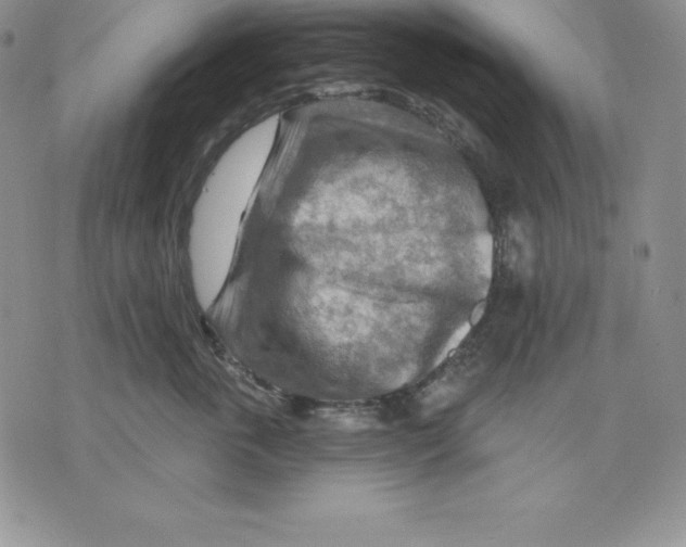 X0000075830763200610151520