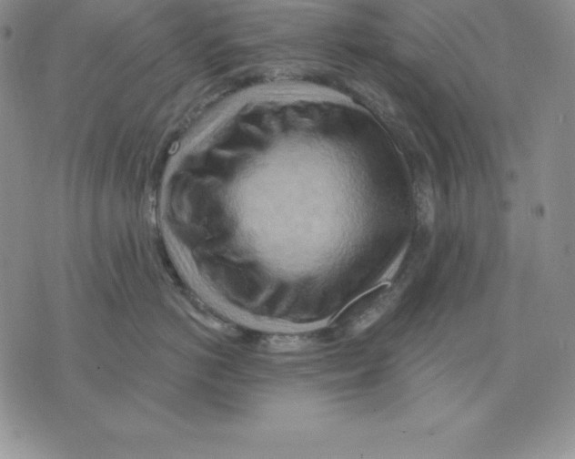 X0000075830766200610151520