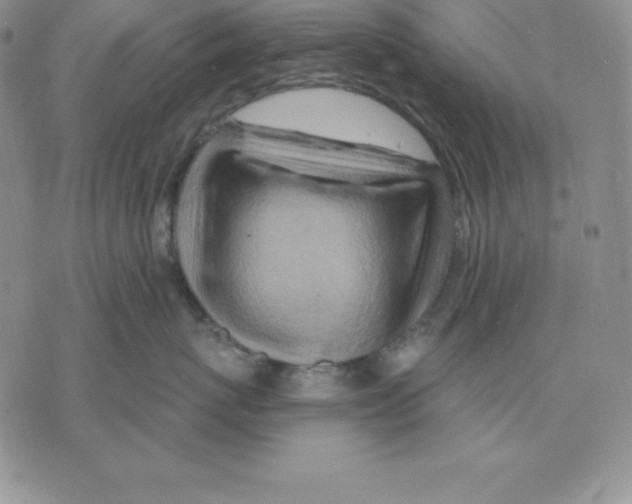 X0000075830767200610151520