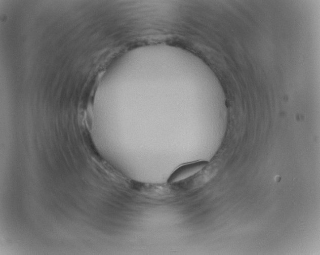 X0000075830768200610151520