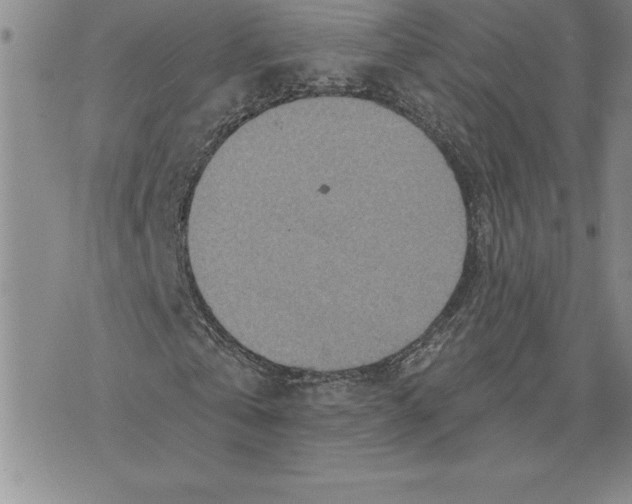 X0000075830769200610151519