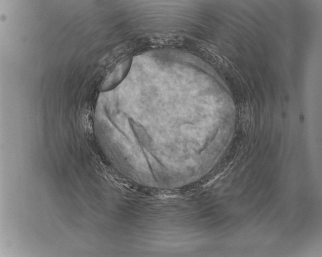 X0000075830770200610151519