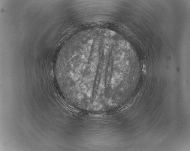 X0000075830771200610151519