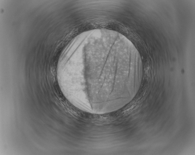 X0000075830772200610151519