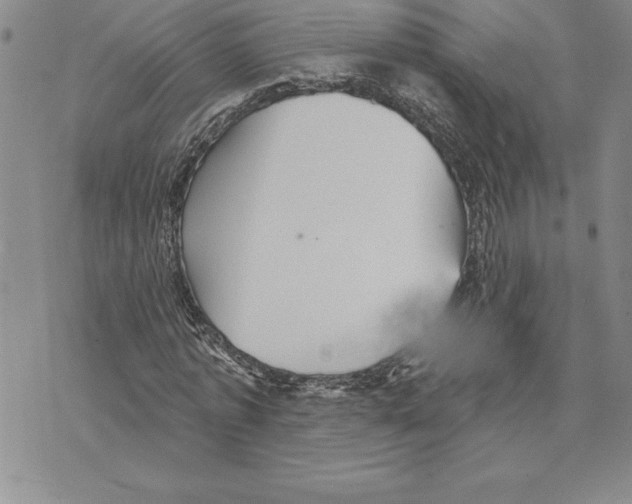 X0000075830773200610151519