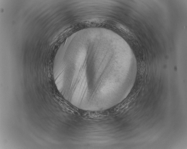 X0000075830774200610151519