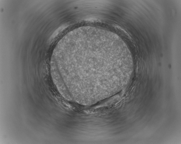 X0000075830776200610151519