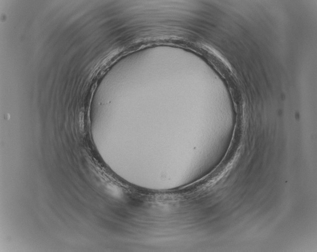 X0000075830777200610151519