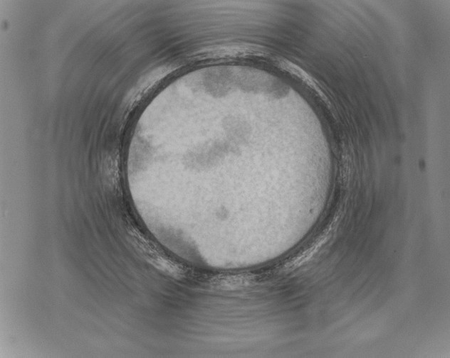 X0000075830778200610151519