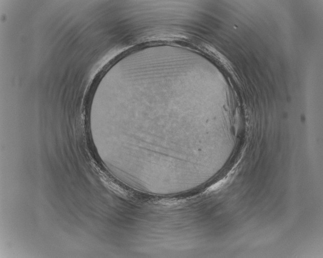 X0000075830779200610151519