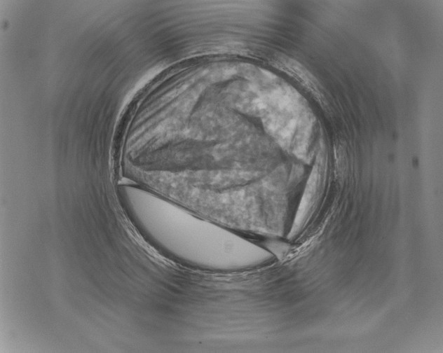 X0000075830780200610151519