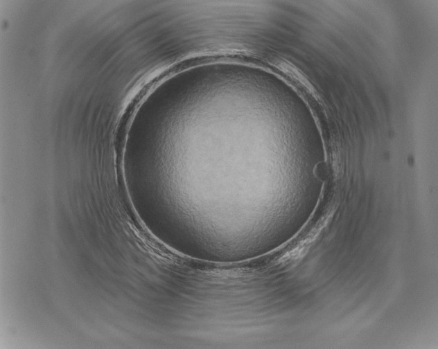 X0000075830781200610151519