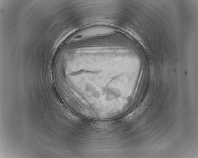 X0000075830782200610151519