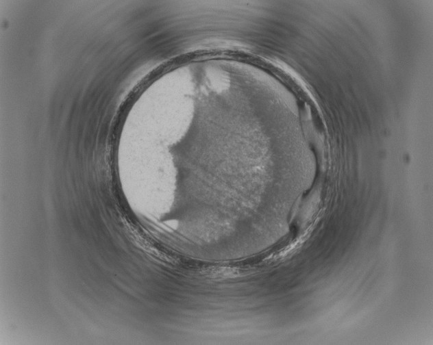 X0000075830783200610151519