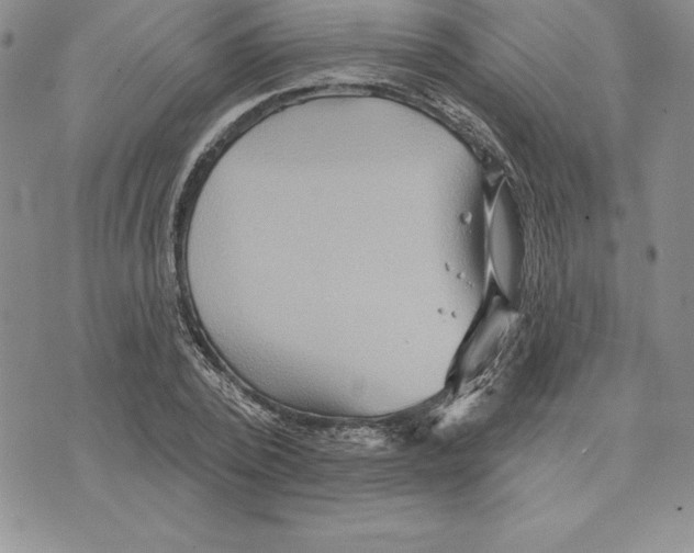 X0000075830784200610151519