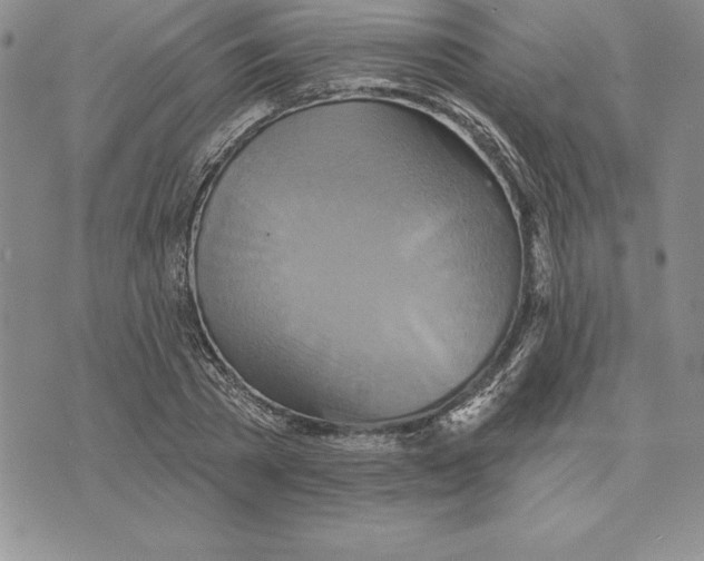 X0000075830785200610151519