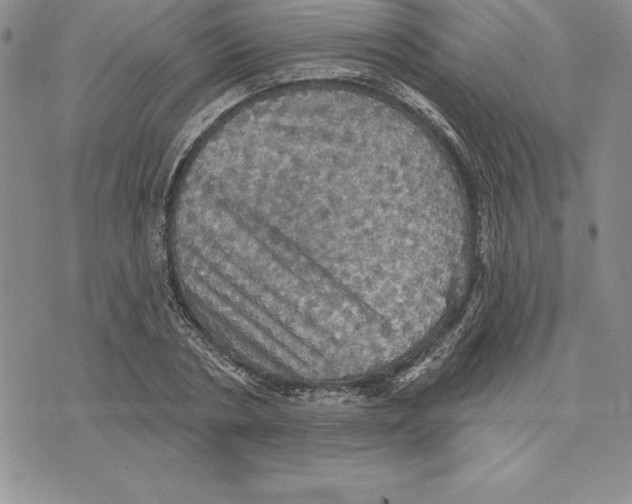 X0000075830786200610151519