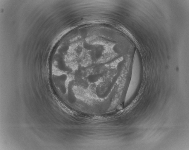 X0000075830787200610151519