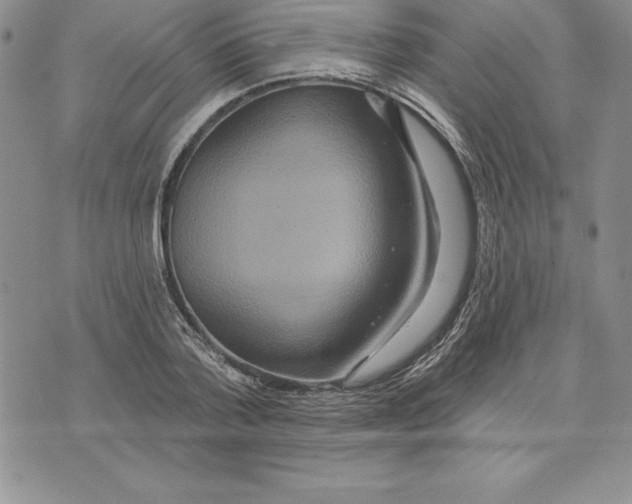 X0000075830788200610151519