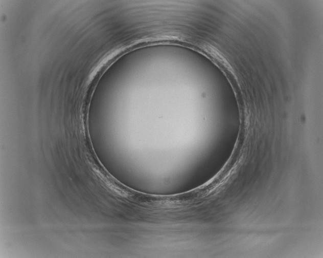 X0000075830789200610151519