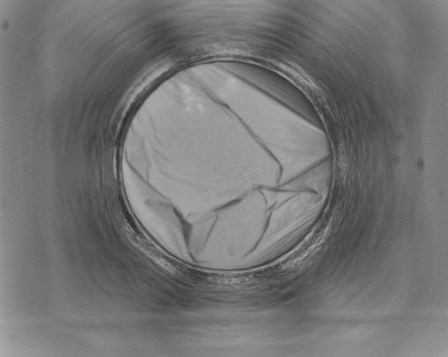 X0000075830790200610151519