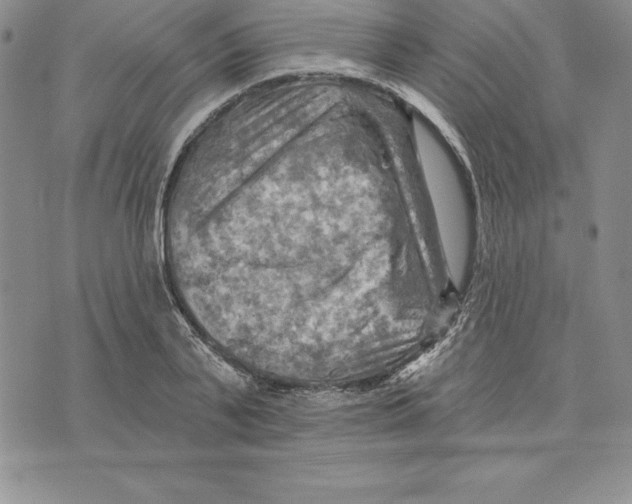 X0000075830791200610151519