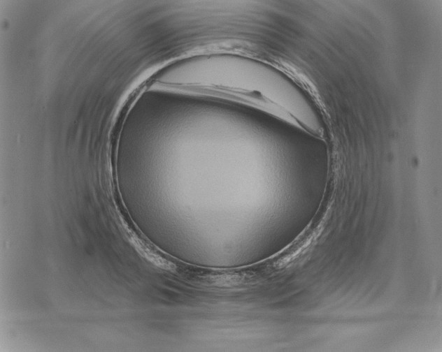 X0000075830792200610151519