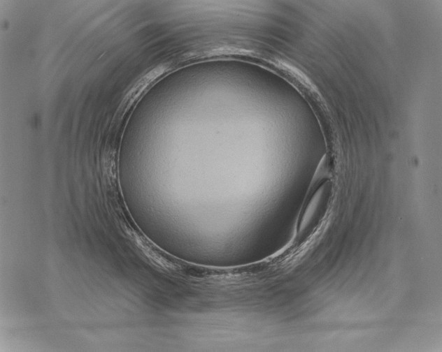 X0000075830793200610151519