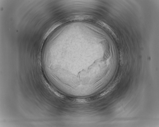 X0000075830794200610151519