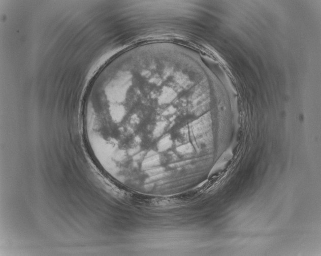 X0000075830795200610151518