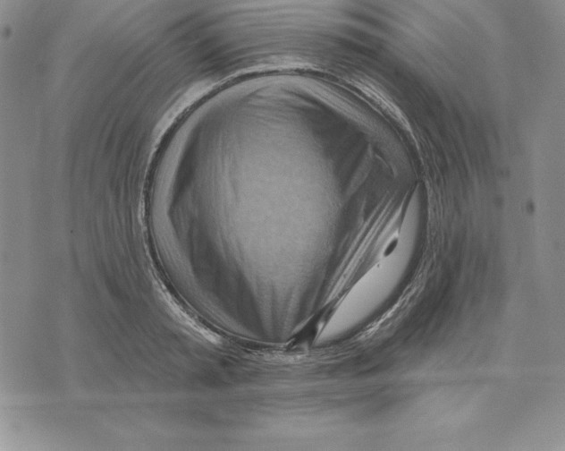 X0000075830797200610151518