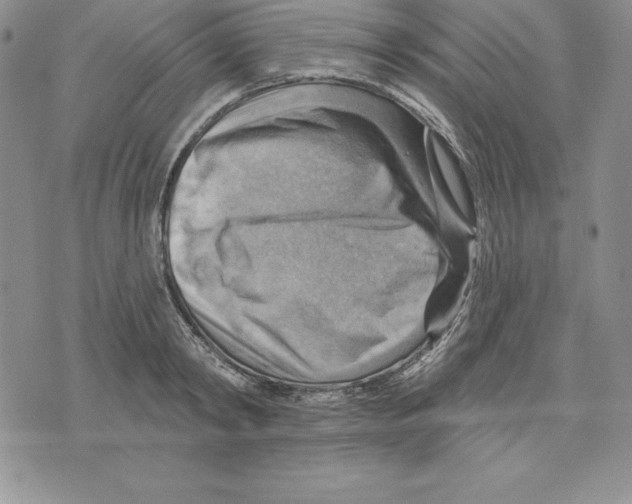 X0000075830798200610151518