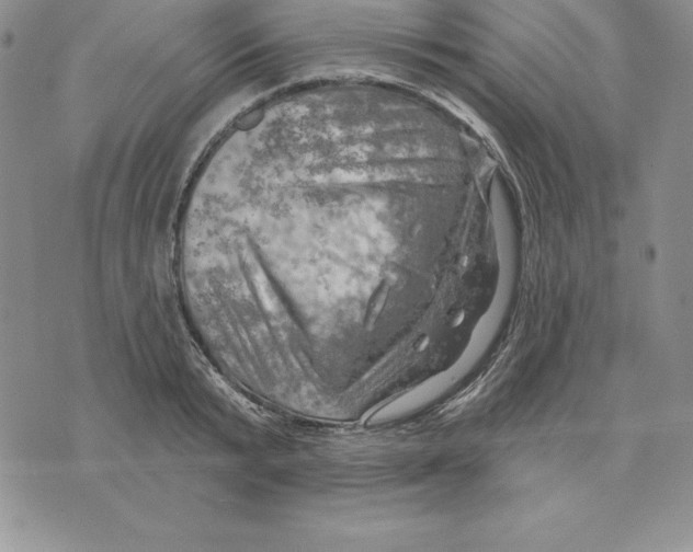 X0000075830799200610151518