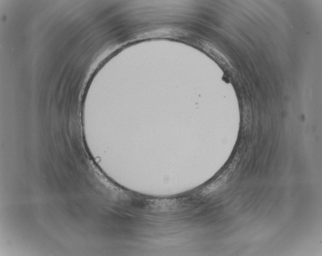 X0000075830800200610151518