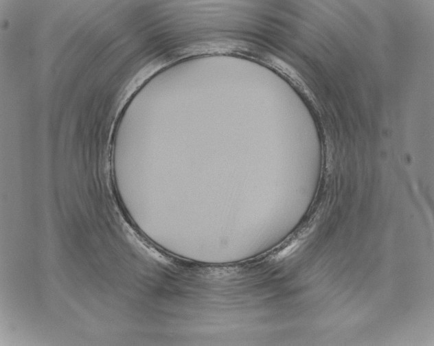 X0000075830802200610151518