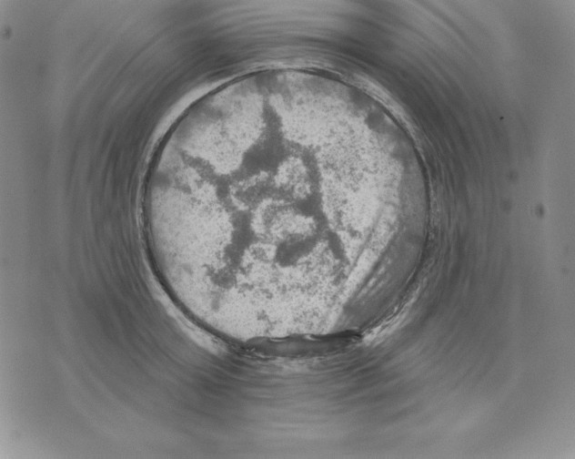 X0000075830803200610151518