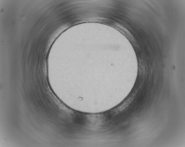 X0000075830804200610151518