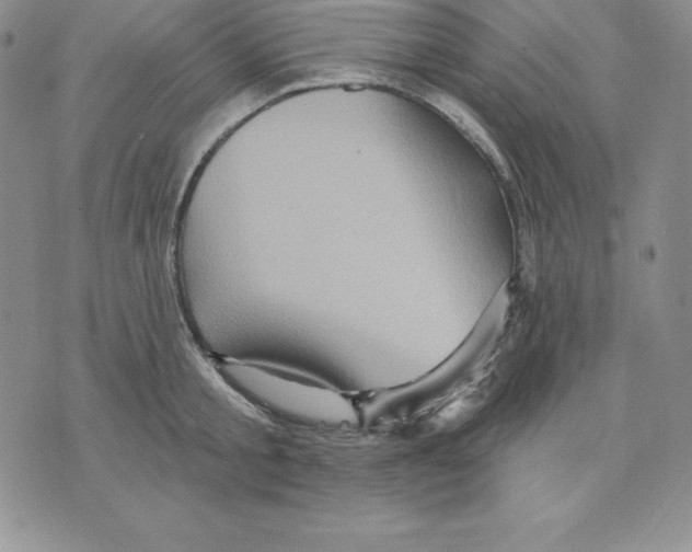 X0000075830805200610151518