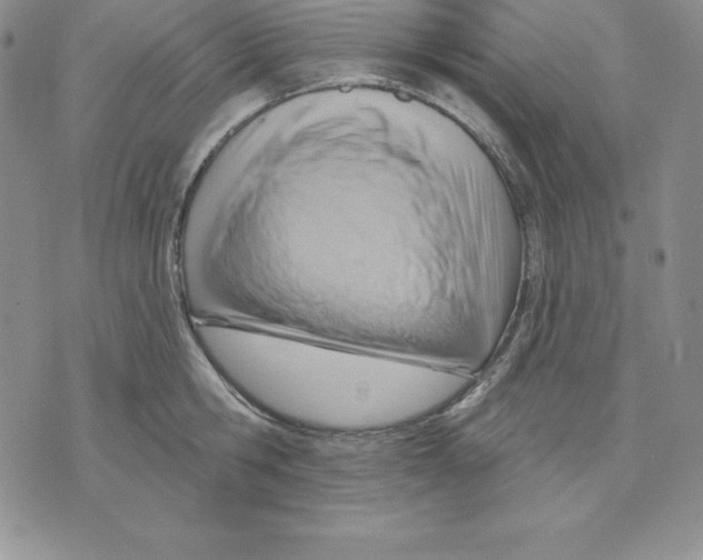 X0000075830806200610151518