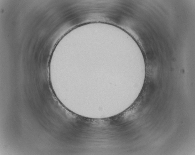 X0000075830807200610151518