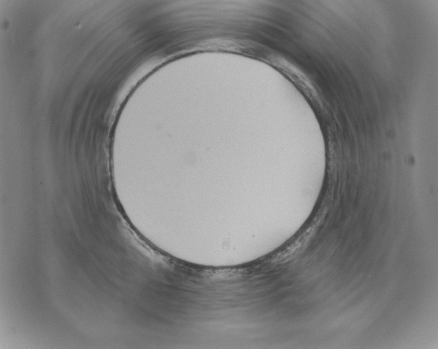 X0000075830808200610151518