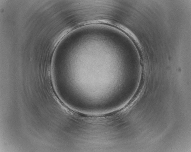 X0000075830809200610151518