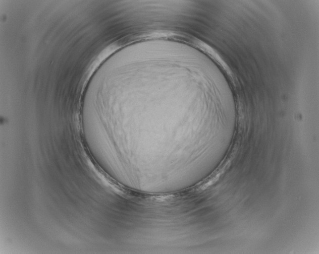 X0000075830810200610151518